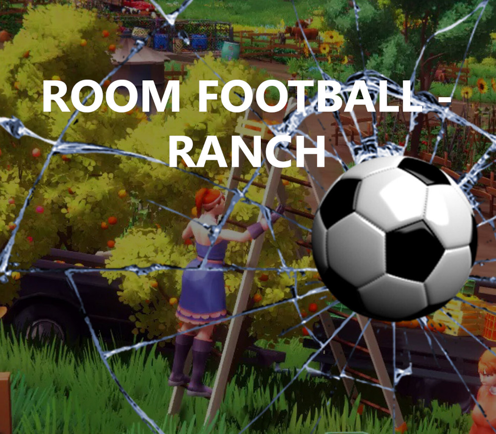 ROOM FOOTBALL : Ranch PC Steam CD Key