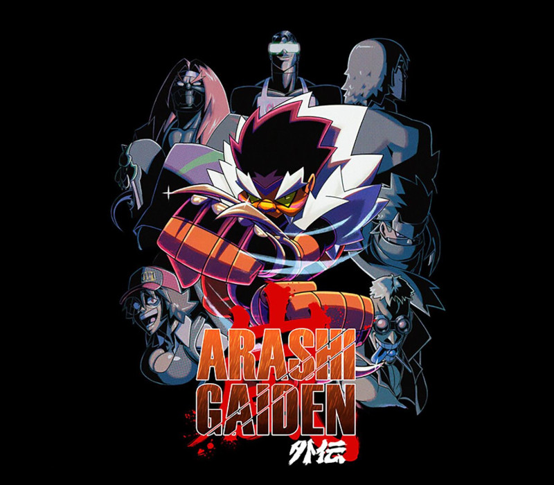 Arashi Gaiden PC Steam CD Key