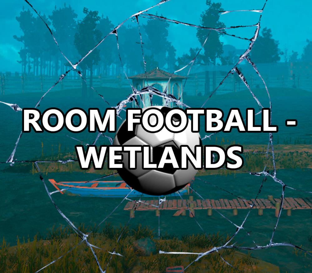 ROOM FOOTBALL : Wetlands PC Steam CD Key