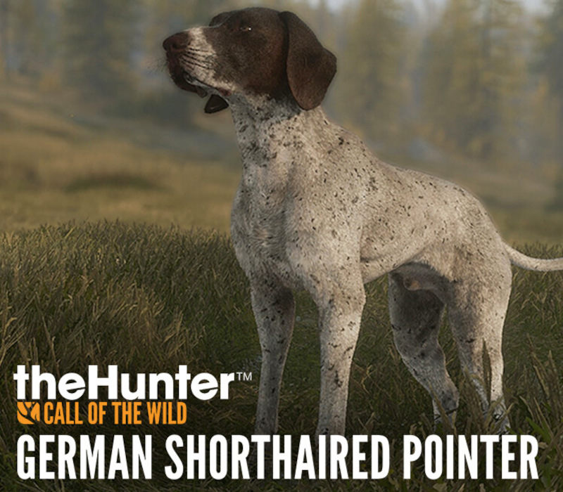 theHunter: Call of the Wild – DLC German Shorthaired Pointer PC Steam Clé CD