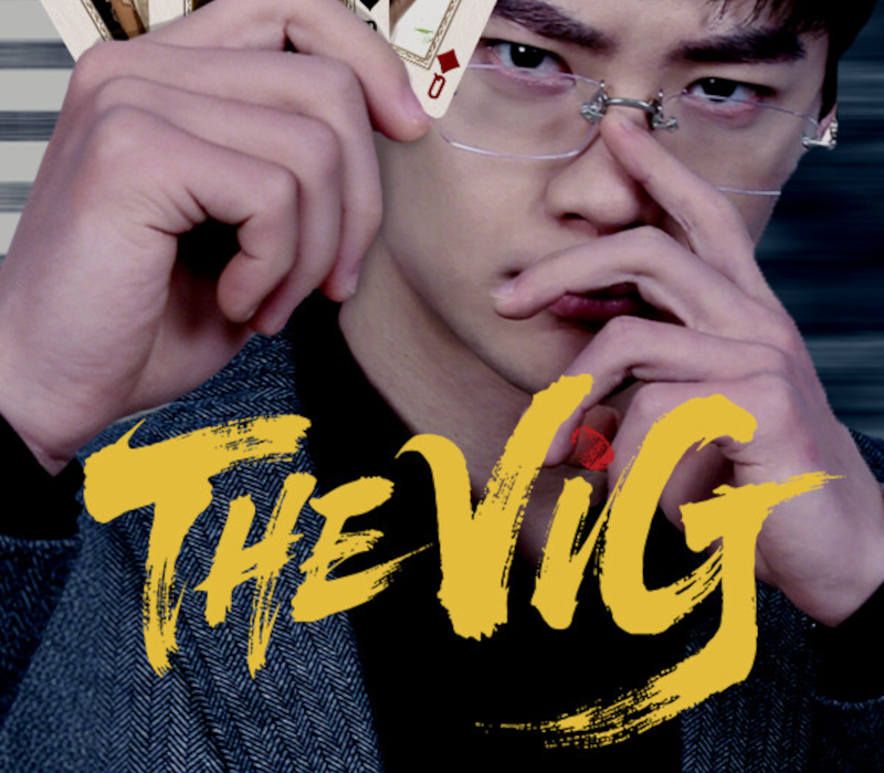 THE VIG PC Steam Clé CD