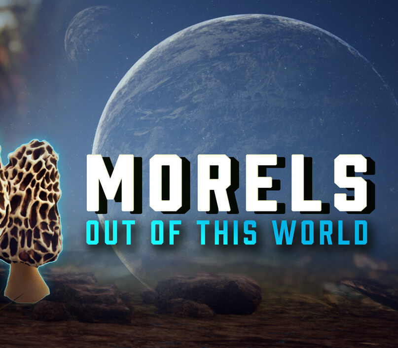 Morels : Out of this World PC Steam CD Key