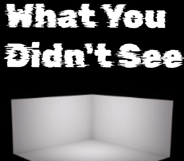 What You Didn&rsquo;t See Clé CD Steam PC