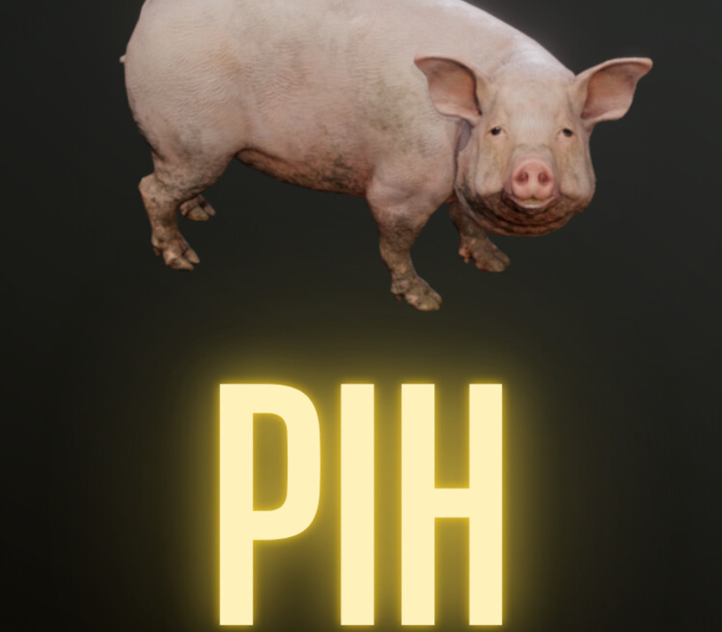 Pih Clé CD Steam PC