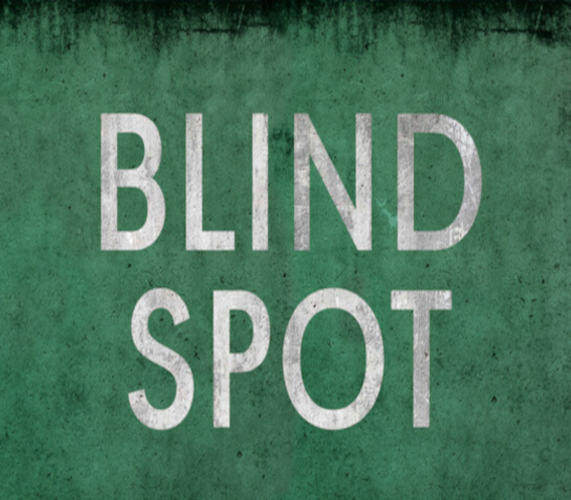 BLIND SPOT PC Steam CD Key