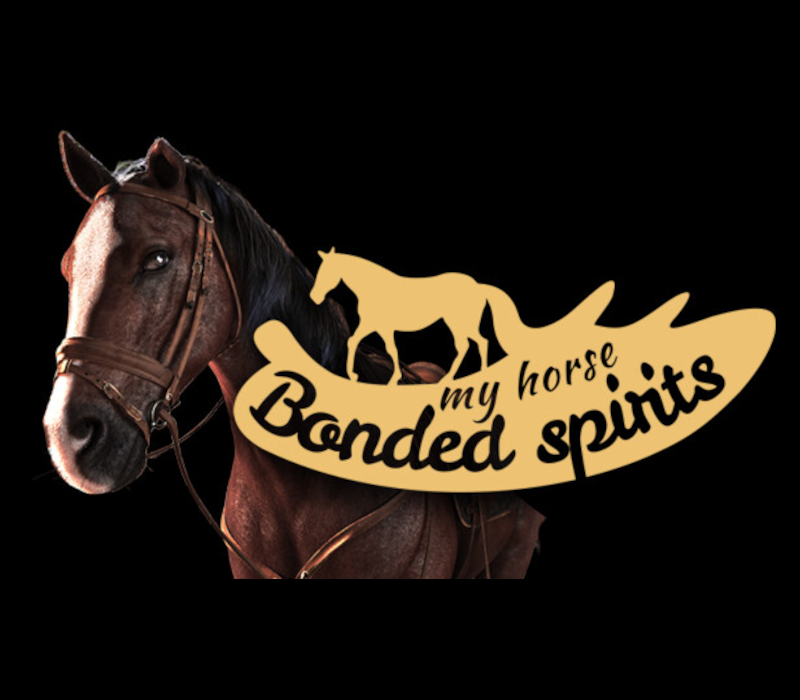My Horse: Bonded Spirits PC Steam CD Key
