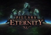 Pillars of Eternity Hero Edition Clé CD GOG