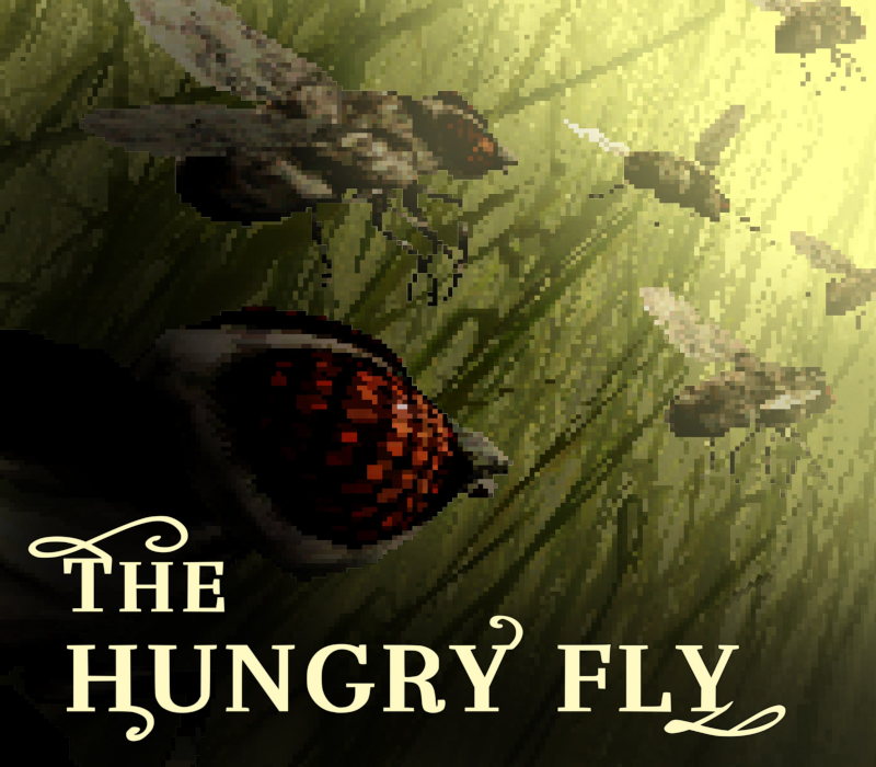 The Hungry Fly Clé CD Steam PC