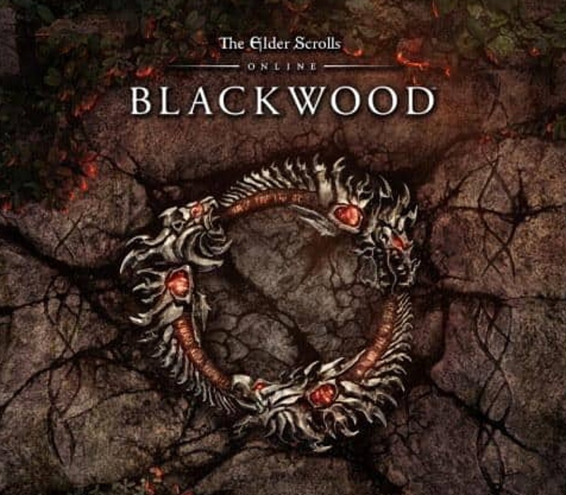 The Elder Scrolls Online Collection : Blackwood Collector&rsquo;s Edition EU Clé CD XBOX One