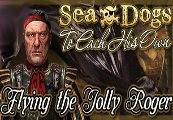 Sea Dogs: To Each His Own – Flying the Jolly Roger DLC Steam CD Key