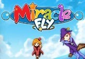 Clé Steam Miracle Fly