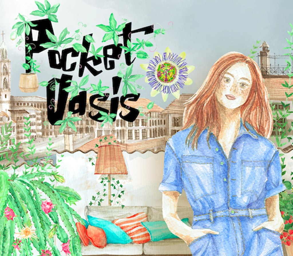 Pocket Oasis PC Steam Clé CD