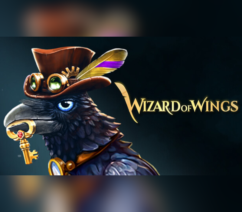 Wizard of Wings : Escape Clé CD Steam PC